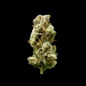 Stoner & Co | Franken Cakes | 3.5G
