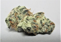 Frosted Donkey