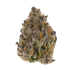 Product Preview Image 1