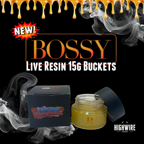 Bossy - Bossy Live Resin Frozen Pomegranate 15g Bucket Main Image