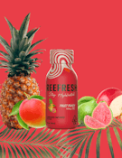 Fruit Punch - Beverage - 100mg