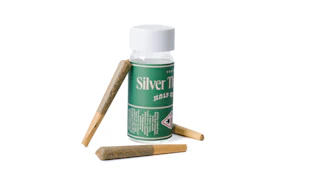 Donny Burger .5g Preroll - 3pk - Silver Therapeutics