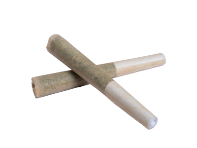 THE STANDARD - The Standard - Preroll - Bl3 NRDZ - 2 Pack