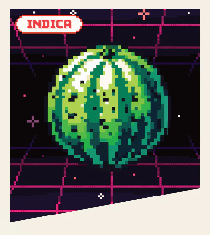 Sublime - 1g Watermelon Z / All in One / Fuzzies Main Image