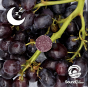 SoundView G'Night Grape 2:1 CBN Gummies T98.8 C50.2 I 00049