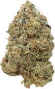 G13 | Common Citizen | Bulk Flower