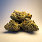 G #41 - 3.5g (H) - Flora & Flame
