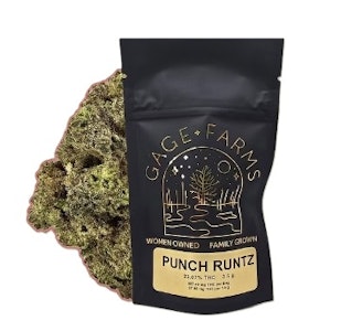 GAGE FARMS - Gage Farms - Punch Runtz - 23.07% THC - 3.5g - Dry Flower