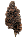 True Genetics | Galactic Nerdz | 3.5g