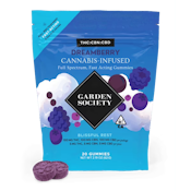 Garden Society | Dreamberry | 1:1:1 THC:CBN:CBD | Gummies