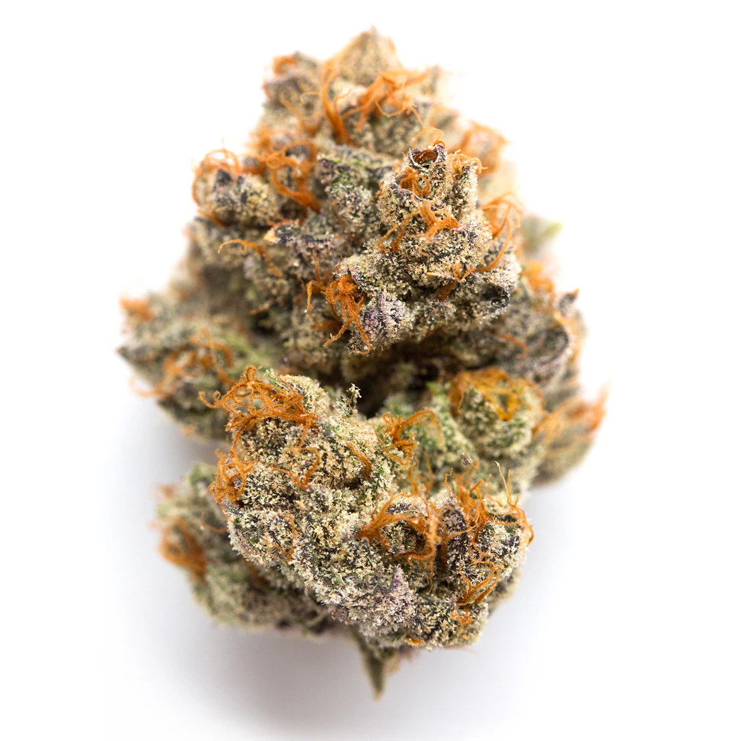 High Life Farms - MI - Garlic Icing Buds Main Image