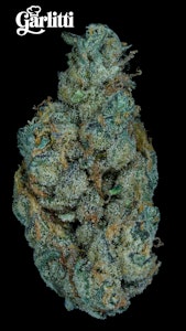 Prolific - Prolific Grow House | Garlitti | 3.5g