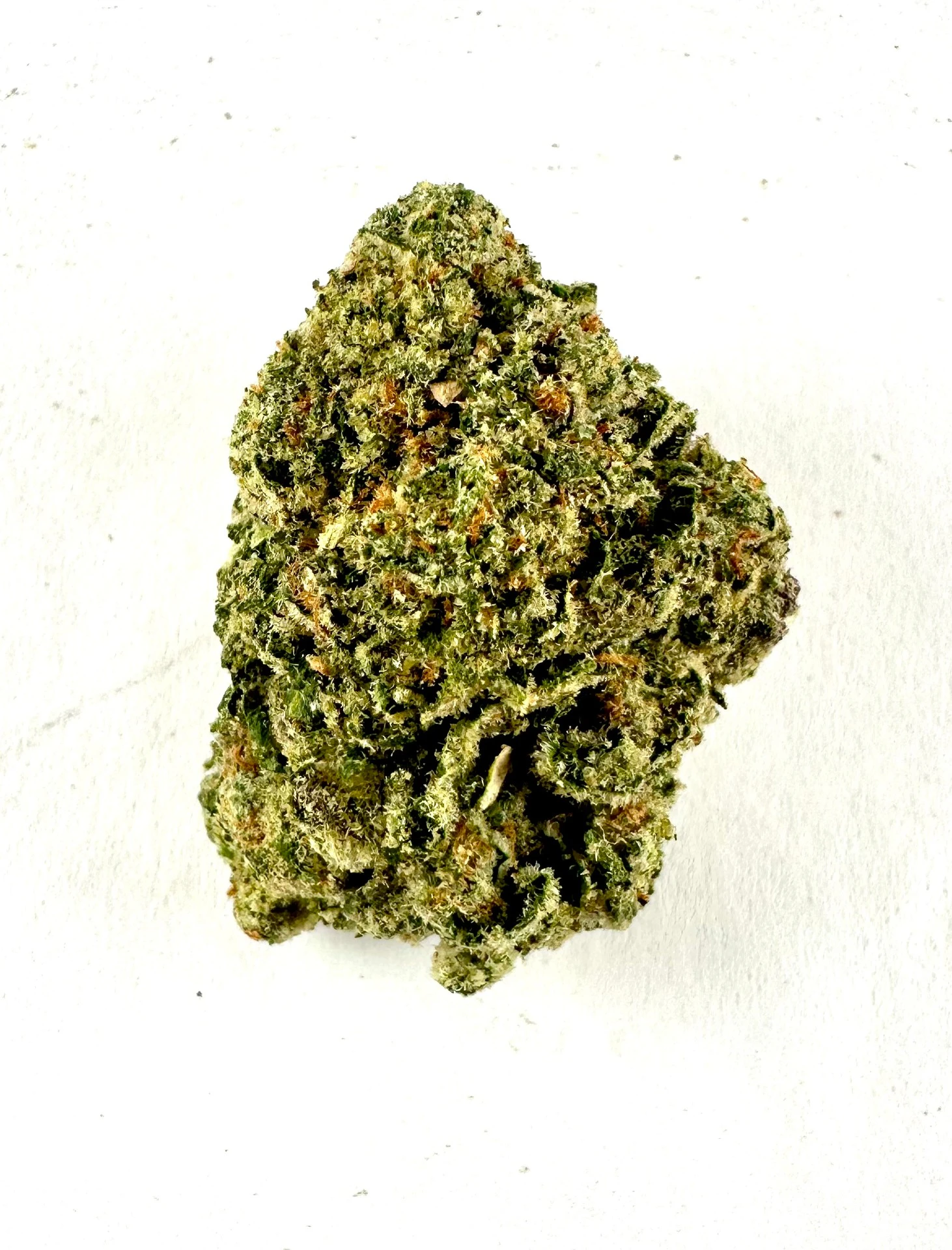 PROHIBITION 37 - P37 - Gary Payton - (Greenhouse) Main Image