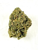 P37 - Gary Payton - (Greenhouse)
