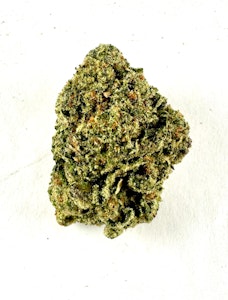 PROHIBITION 37 - P37 - Gary Payton - (Greenhouse)