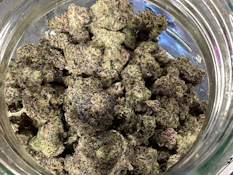 Crownpoint- Gary Payton x Fishscale Deli Flower