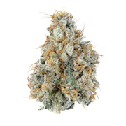 NOBO Flower - Gary Payton - Deli Flower