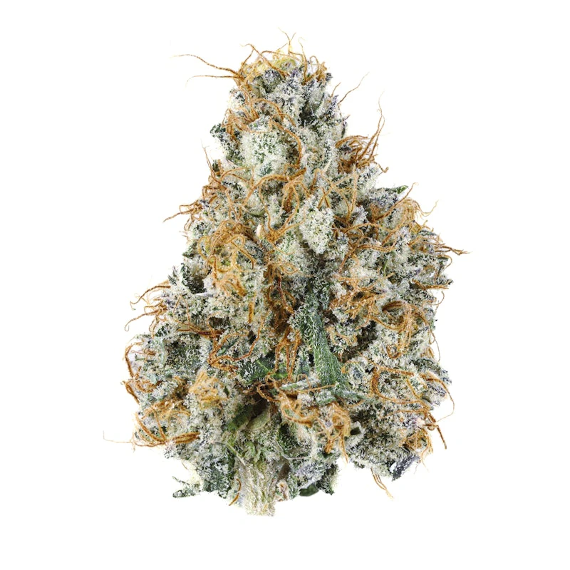 NOBO Flower - NOBO Flower - Gary Payton - Deli Flower Main Image