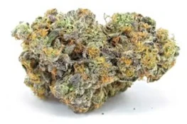 Mac x Gary Payton - 20