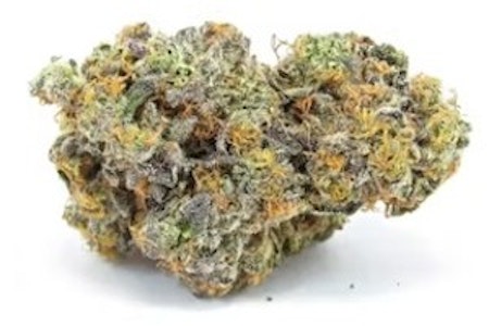 Granny Farm - GF | Gary Payton