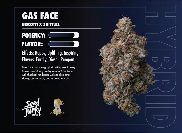 Seed Junky - Seed Junky - Hybrid - Gas Face Indoor - (3.5g) Main Image