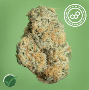 THERAPLANT - Gas Face 4587