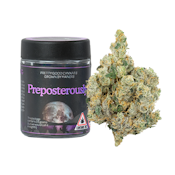 Preposterously | Gas Face | 3.5G