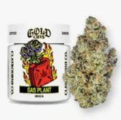 [Claybourne Co.] Gold Cut Flower - 3.5g - Gas Plant (I)