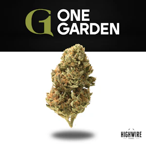 Sozo Companies - Gaschata 1/8th