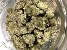 Crownpoint- Gastro Belts Deli Flower