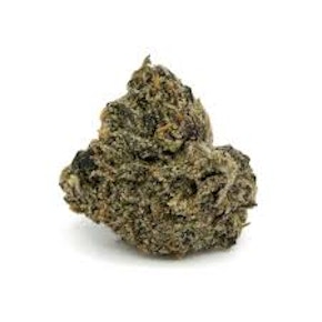 Buds - Gastro Pop