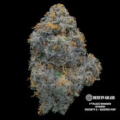 Gastro Pop (Pre-Packed 1/8th)