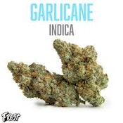FROST - GARLICANE 7G