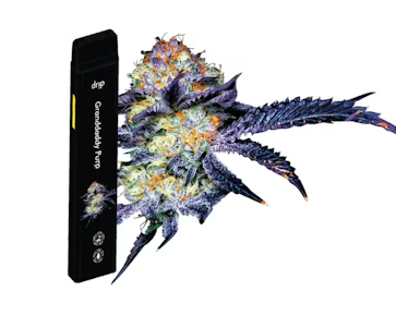 Drip - Granddaddy Purp Big Ripper AIO - 2g