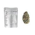 Aeterna | Gelato 33 | 14g