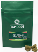 Tap Root Family | Gelato 41 C | Bud 1/8th