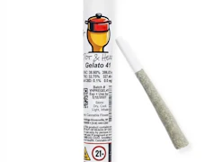 Pot & Head | 1g Joint (Non-Infused) | Gelato 41(HYBRID)