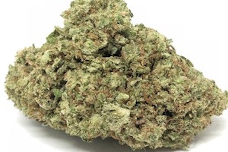 GOLDKINE - Gelato - $25 EIGHTHS