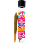 GELATO | ISLAND PUNCH - INFUSED | PREROLL | 1.2G
