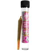 Gelato - 1.2g Infused Preroll - Creme Brulee
