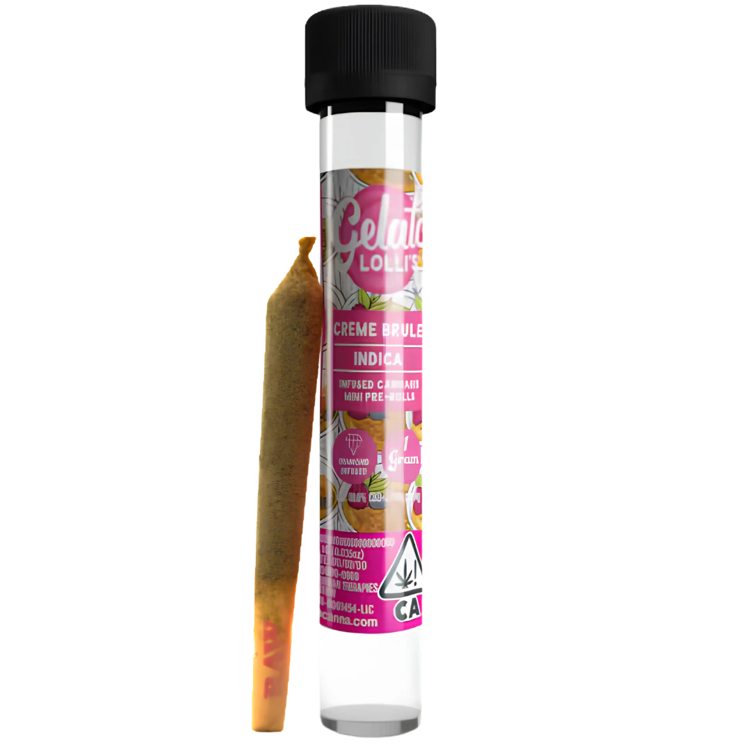 Gelato - Gelato - 1.2g Infused Preroll - Creme Brulee Main Image