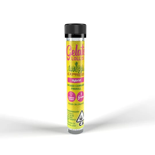 Gelato - GELATO | PINEAPPLE EXPRESS - INFUSED | PREROLL | 1.2G Main Image