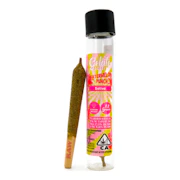 Gelato | Watermelon Punch | Lolli | Infused Pre-Roll | 1.2G