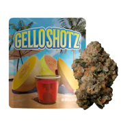 Seed Junky Genetics - 3.5g - Gello Shotz