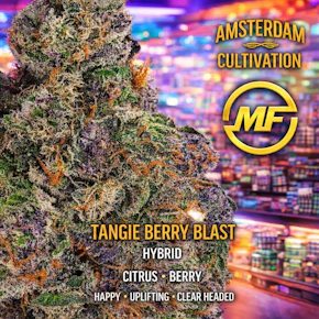 Privé | Tangie Berry Blast | 1g 30-Pack PR