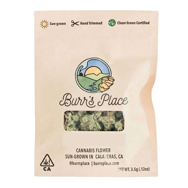 Burr's Place - Burr's Place Gazzurple 1/8 PD 30% Main Image