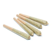 Hesperides Gardens Bill Walton/Jack Herer 1G Preroll 10pk - Sativa
