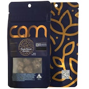 CAM Brain Dead 1/4 36%