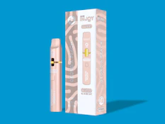 Cure Injoy - Georgia Peach - 1g All-In-One Vape