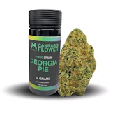 Georgia Pie (H) 14g - 1/2oz - Flower - UrbanXtracts